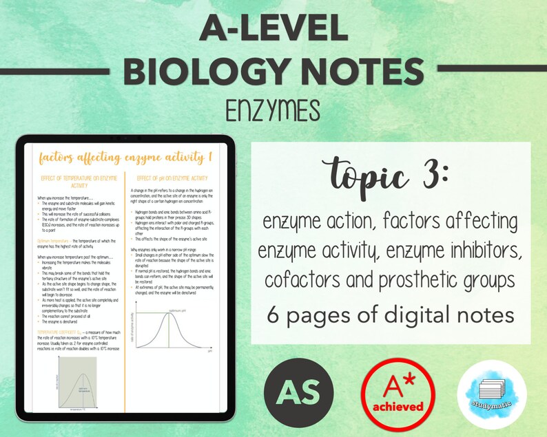BIOLOGY NOTES A LEVEL Enzymes Etsy