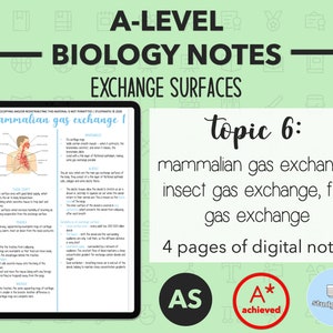BIOLOGY NOTES A LEVEL: Exchange Surfaces