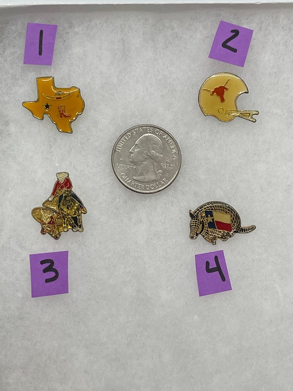 Vintage Texas Western Hat Pins ~