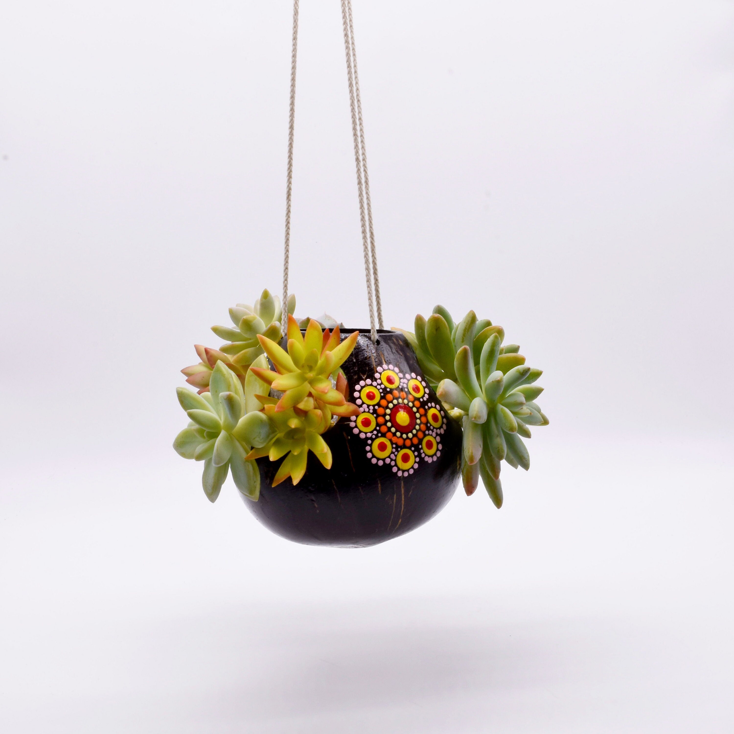 Coconut Shell Planter Etsy