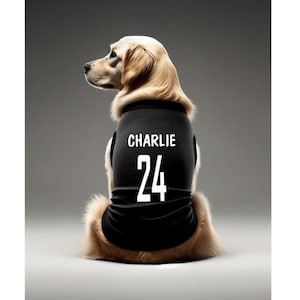 Custom dog jerseys nfl store