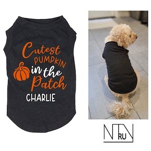 May include: Black dog t-shirt with orange text that says "Cutest Pumpkin in the Patch" and the name "Charlie" underneath. The shirt is on a white background.