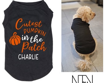 Chemise pour chien citrouille la plus mignonne dans l'écusson, chemise pour chien de Thanksgiving, chemise pour chien Halloween, chemise pour chien drôle, cadeau pour les amoureux des chiens, chemise pour chien de vacances