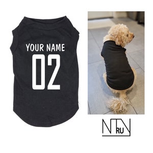 Coach dog clothes on sale