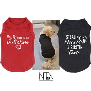 My mom is my Valentine Dog Shirt, Stealing Hearts and Bustin Farts Valentines Day Dog Shirt, Funny Dog Shirt, Gift for Dog Lovers