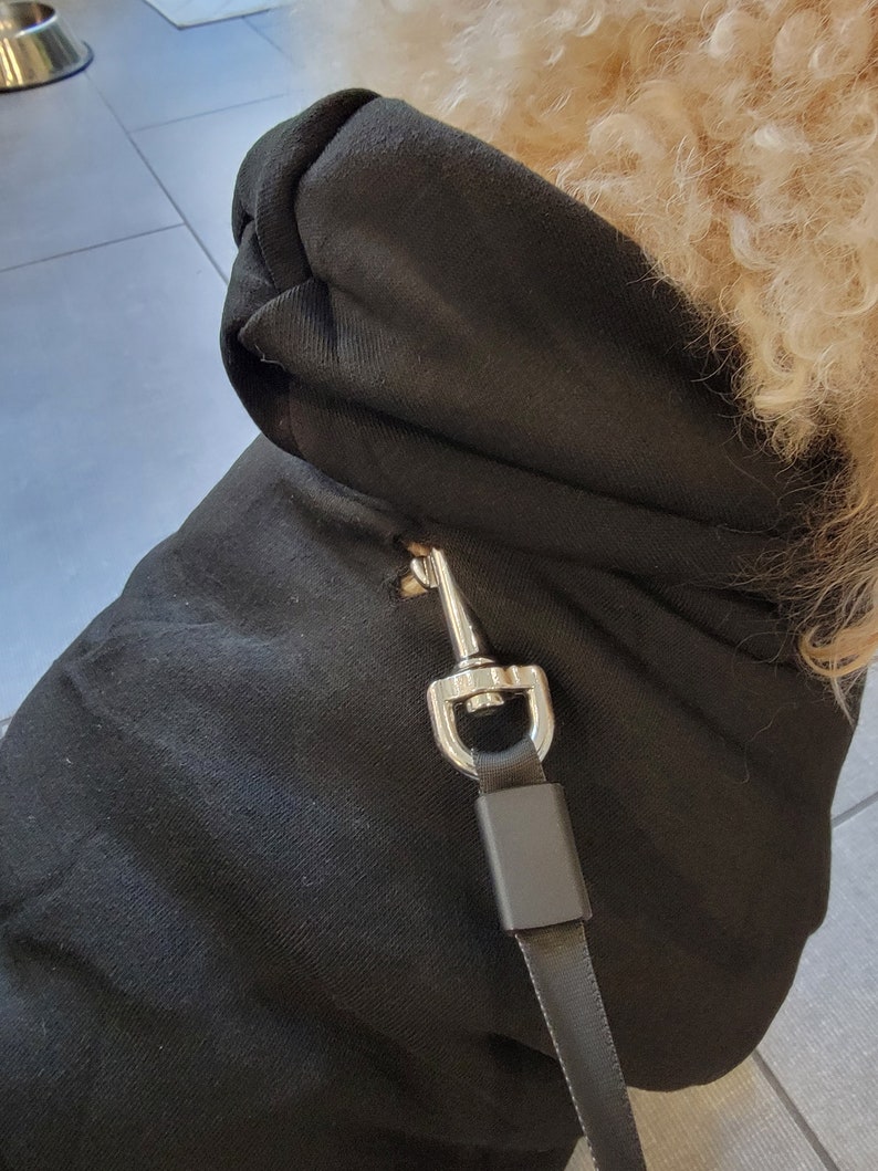 Pull pour chien personnalisé avec nom et logo, sweat à capuche personnalisé pour chien, chemise personnalisée pour chien, vêtements pour chien personnalisés, cadeau pour amoureux des chiens image 7