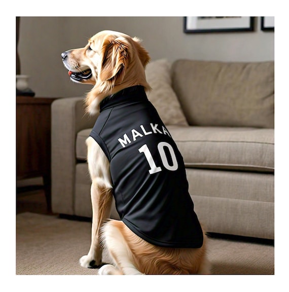 Custom Sports Dog Jersey - Personalized Dog Shirt with Name & Number - Team Dog Shirt, Football, Basketball, Soccer Fan Gift, Pet Jersey