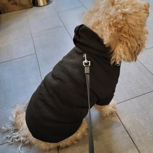 Pull pour chien personnalisé avec nom et logo, sweat à capuche personnalisé pour chien, chemise personnalisée pour chien, vêtements pour chien personnalisés, cadeau pour amoureux des chiens image 6