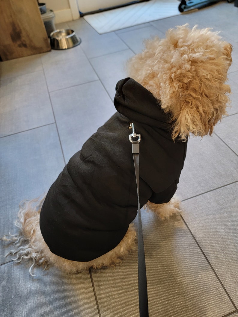 Pull pour chien personnalisé avec nom et logo, sweat à capuche personnalisé pour chien, chemise personnalisée pour chien, vêtements pour chien personnalisés, cadeau pour amoureux des chiens image 6