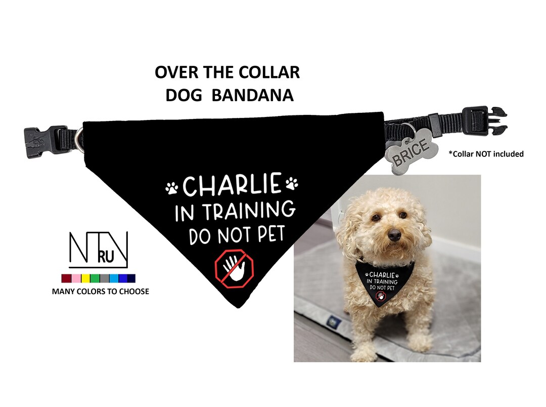 Personalized Dog in Training Do Not Pet Dog Bandana Medical Etsy