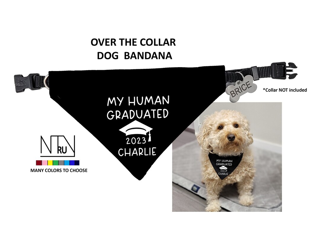 My Human Graduated Dog Bandana, Mom Studied I Slept Graduation Bandana
