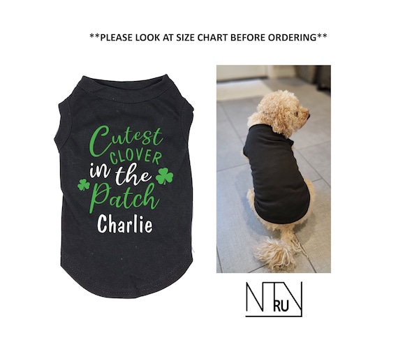 Personalized St Patrick's Dog Shirt, Cutest Clover in the Patch Dog Shirt, Custom Dog Shirt, Shamrock Dog Shirt, Pet Gift,