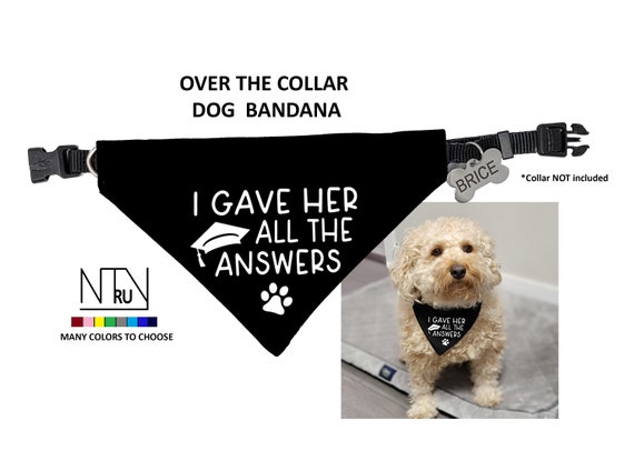 I Gave her all the answers Dog Bandana, Mom Studied I Slept Graduation Bandana, Graduation Gift for Dog Mom, Class of 2024 Dog Dad Gift