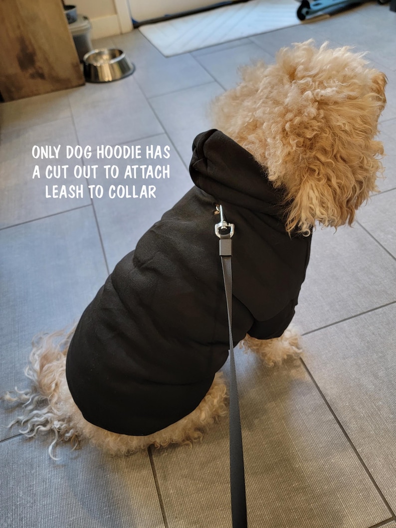 May include: A dog wearing a black hoodie with a leash attached. The hoodie has a cut-out for leash attachment. The dog has curly, light brown fur. Text on the image reads: "ONLY DOG HOODIE HAS A CUT OUT TO ATTACH LEASH TO COLLAR."