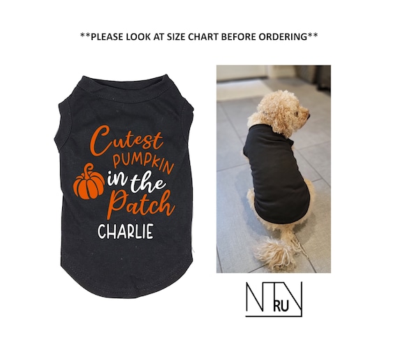 Cutest Pumpkin in the Patch Dog Shirt, Thanksgiving Dog Shirt, Halloween Dog Shirt, Funny Dog Shirt, Gift for Dog Lovers, Holiday Dog Shirt