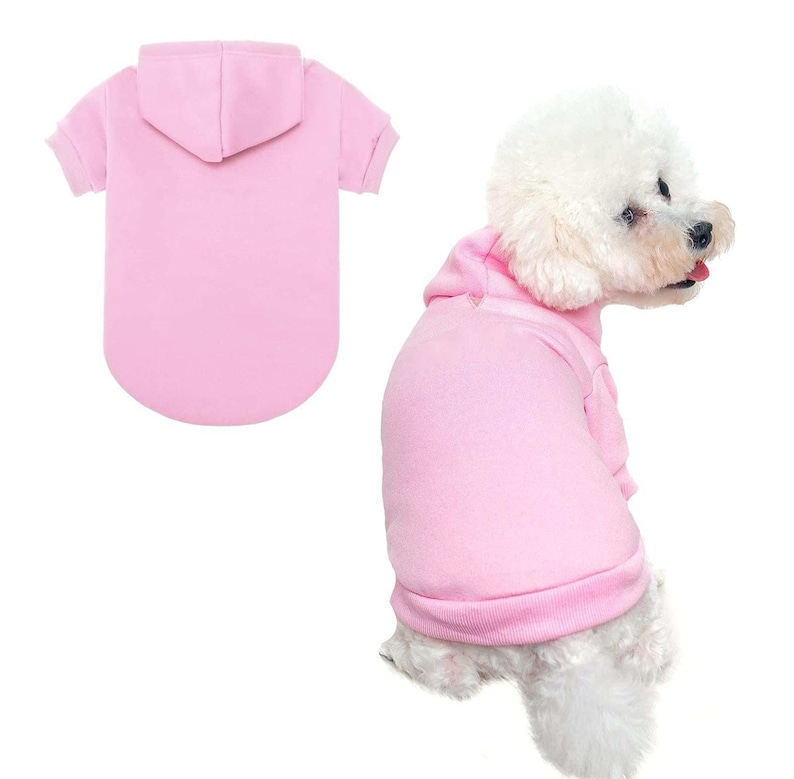 Pull pour chien personnalisé avec nom et logo, sweat à capuche personnalisé pour chien, chemise personnalisée pour chien, vêtements pour chien personnalisés, cadeau pour amoureux des chiens image 9