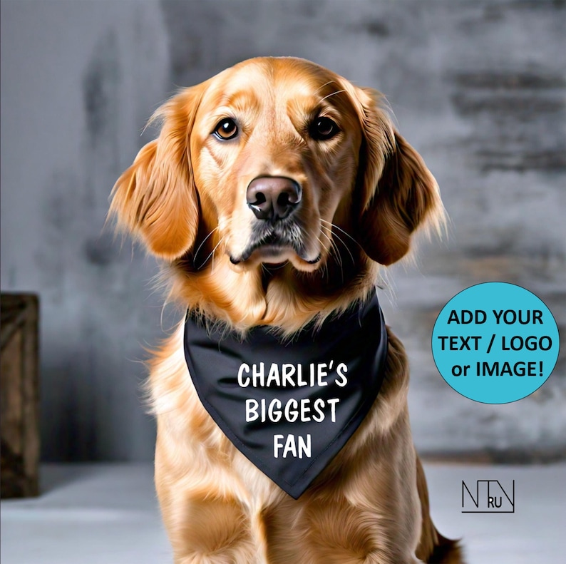 May include: A golden retriever dog wearing a black bandana with the text "Charlie's Biggest Fan" printed in white. The bandana is a personalized dog accessory.