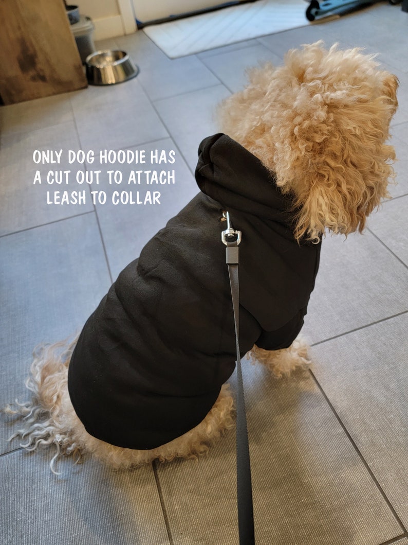 Aangepast hondenshirt, gepersonaliseerd hondenshirt, grappig hondenshirt, aangepast shirt voor hond, grappig huisdiershirt, aangepast kattenshirt afbeelding 7