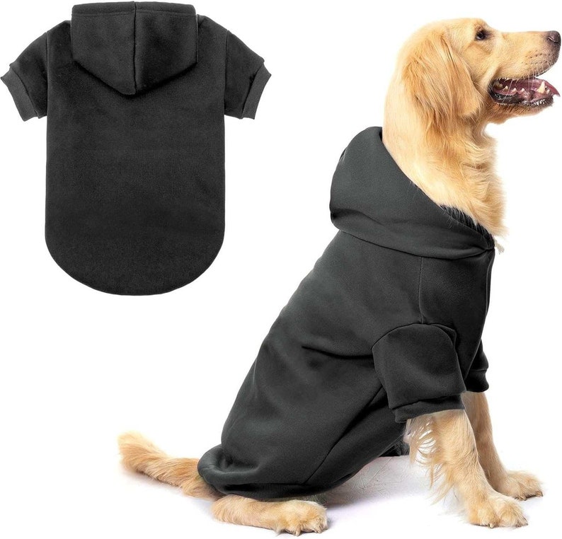 Custom Dog Shirt with Paw Print and Heart, Personalized Dog Shirt, Funny Dog Shirt, Custom Shirt for Dog, Funny pet shirt, Custom Dog Hoodie image 7