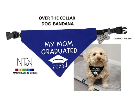 My Mom Graduated Dog Bandana, Mom Studied I Slept Graduation Bandana, Graduation Gift for Dog Mom, Class of 2024 Dog Bandana, Dog Dad Gift