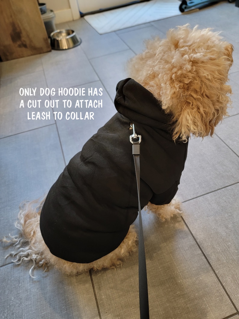 May include: A small, light brown dog wearing a black hooded dog jacket with a leash attached to the collar. The jacket has a cut-out for the leash to attach to the collar. The text "ONLY DOG HOODIE HAS A CUT OUT TO ATTACH LEASH TO COLLAR" is visible in the image.