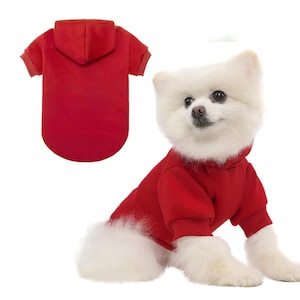 Pull pour chien personnalisé avec nom et logo, sweat à capuche personnalisé pour chien, chemise personnalisée pour chien, vêtements pour chien personnalisés, cadeau pour amoureux des chiens image 8