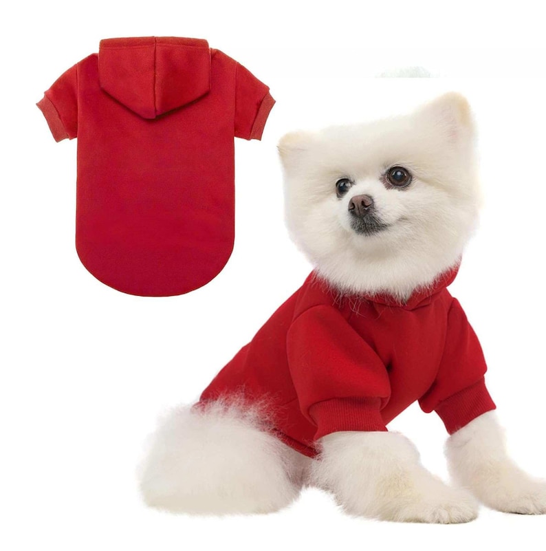 Pull pour chien personnalisé avec nom et logo, sweat à capuche personnalisé pour chien, chemise personnalisée pour chien, vêtements pour chien personnalisés, cadeau pour amoureux des chiens image 8