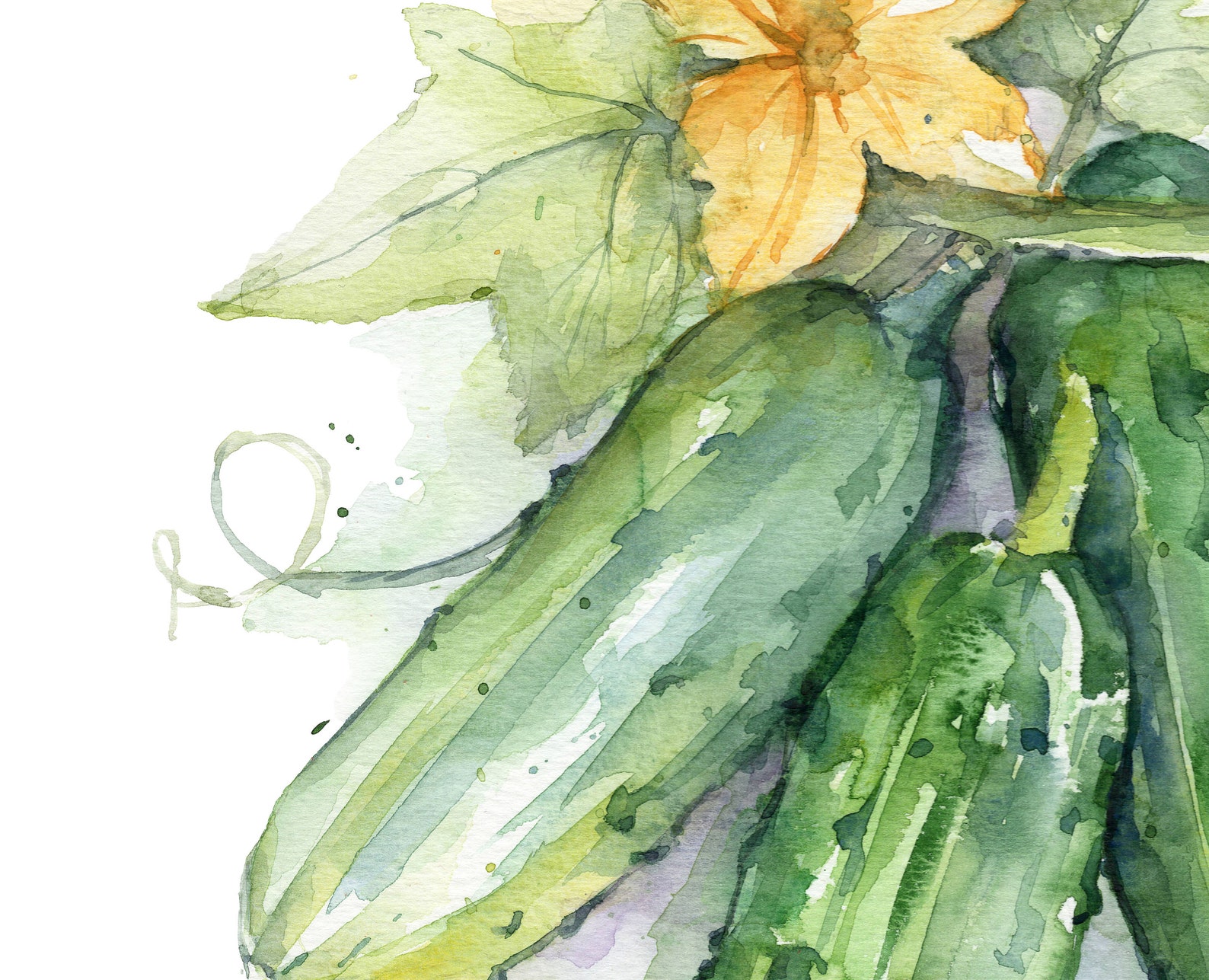 Watercolor Vegetable Poster Cucumber Art Food Posters Veggie Etsy