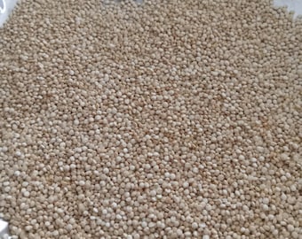 White Quinoa: Nutritious Hermit Crab Food