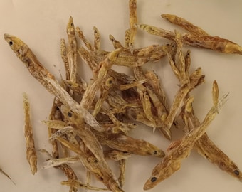 NEW Marble Goby Fish Hermit Crab Food