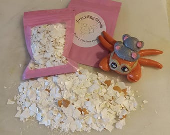 DRIED EGG SHELLS