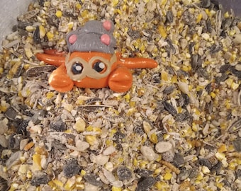 New BACKYARD BUFFET  hermit crab food