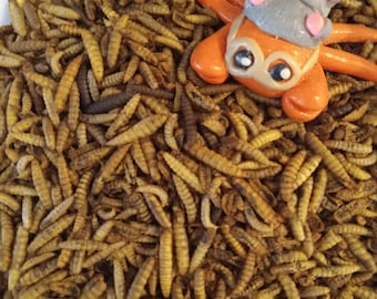 MEALWORMS
