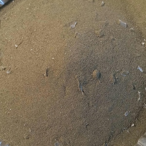 Greensand for Hermit Crabs: Mineral Supplement with Snake Shed