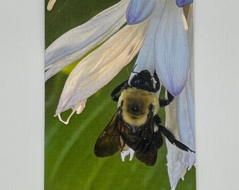 Bee Photography Note Cards - Linen Card Stock, Set of 6