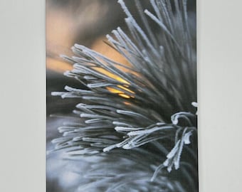 Wisconsin Winter Photography Notecards - Set of 6 Linen Cards