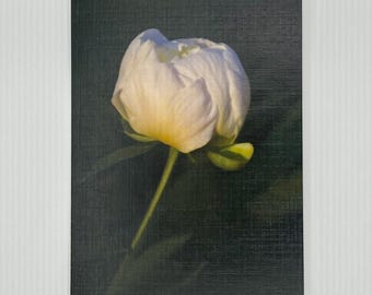 Peony Photo Note Cards - Linen Card Stock, Set of 6