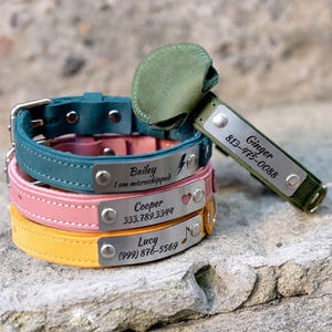 May include: A stack of colorful pet collars in teal, pink, and yellow, each with a silver nameplate. The nameplates display names, phone numbers, and icons. A matching green collar tag with a phone number is also present.