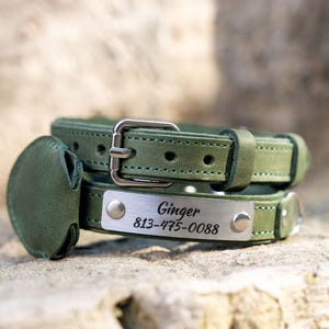 Op de afbeelding: Groene leren hondenhalsband met een zilveren naamplaatje met de tekst "Ginger" en een telefoonnummer. De halsband heeft een bijpassend groen leren label en een zilveren gesp.