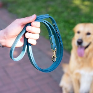 Dog Leash, Leather Dog Leash, Dog Accessories for Boy or Girl, Personalized dog leash, Dog name plate, Strong Leather Dog Leash, dog lead