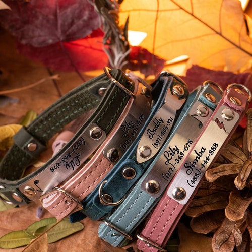 Cute Cat Collar Personalized Leather Collar Custom Collar Etsy