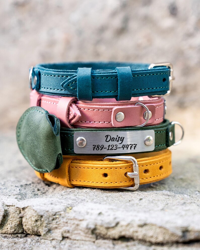 Op de afbeelding: Een stapel van vier leren hondenhalsbanden in teal, roze, groen en geel. De groene halsband heeft een metalen naamplaatje met "Daisy" en een telefoonnummer. Elke halsband heeft een metalen gesp en een D-ring.