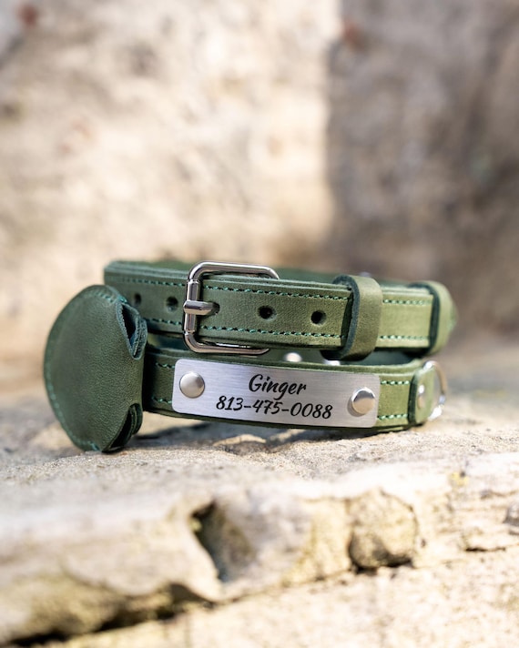 No Jingle Leather Pet Collar, Engraved Nameplate, AirTag Holder