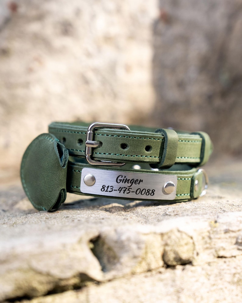 Op de afbeelding: Groene leren hondenhalsband met een zilveren naamplaatje met de tekst "Ginger" en een telefoonnummer. De halsband heeft een bijpassend groen leren label en een zilveren gesp.