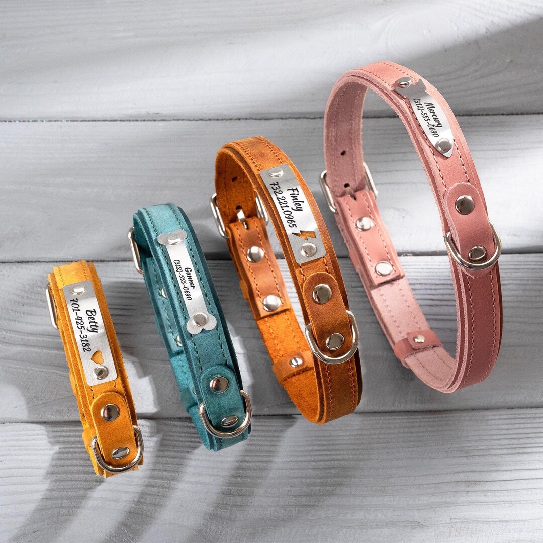 Personalized Leather Dog Collar, Engraved Stainless Steel Name Plate - Etsy