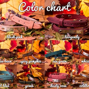 Leather Cat Collar with Name, Personalized Cat Collar, Engraved Custom Cat Collar image 5