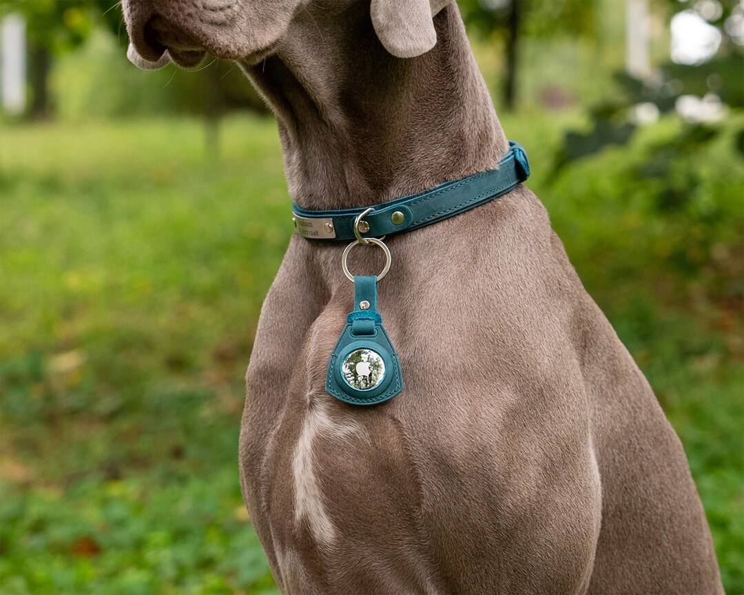 AirTag Cover Dog Collar, Leather AirTag Case, AirTag Holder, AirTag Case  Holder Collar, AirTag Personalized, Pet Air Tag Case Petlover Gift 