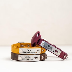 Op de afbeelding: Drie gepersonaliseerde hondenhalsbanden van geel, bruin en bordeauxrood leer. Elke halsband heeft een zilveren naamplaatje met een naam, telefoonnummer en een symbool. De bordeauxrode halsband is schuin.
