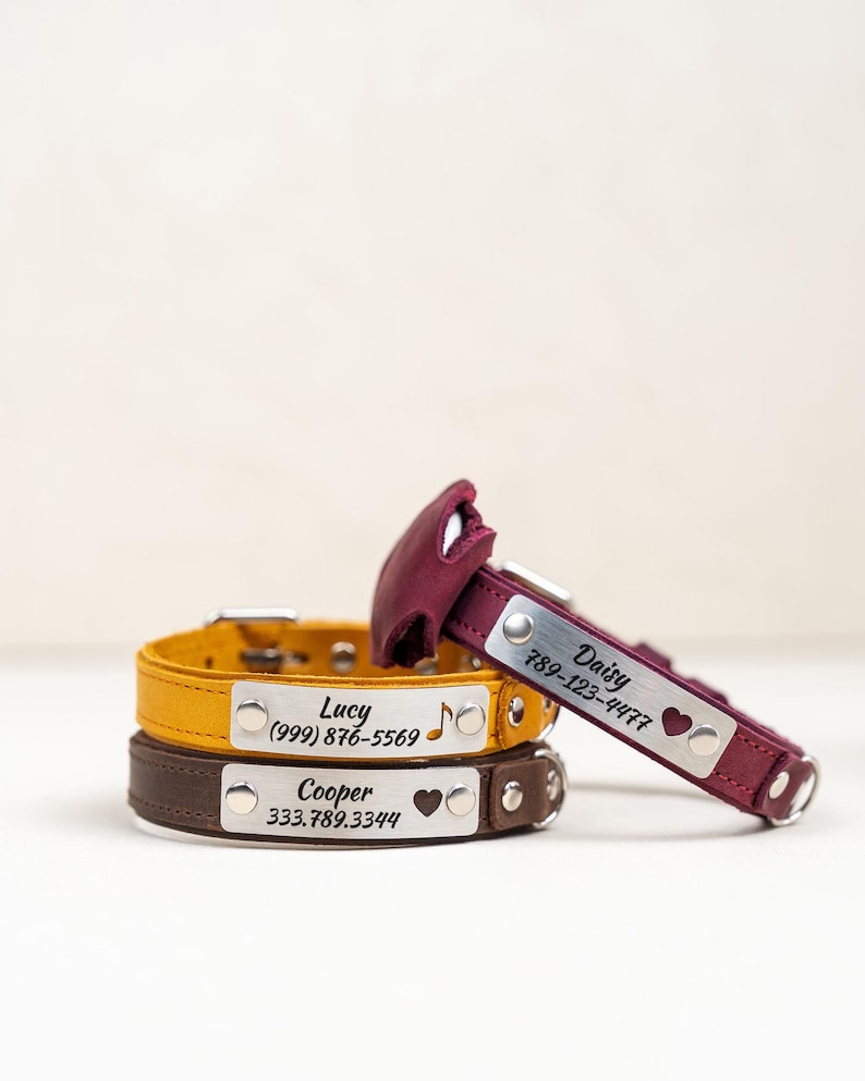 Op de afbeelding: Drie gepersonaliseerde hondenhalsbanden van geel, bruin en bordeauxrood leer. Elke halsband heeft een zilveren naamplaatje met een naam, telefoonnummer en een symbool. De bordeauxrode halsband is schuin.