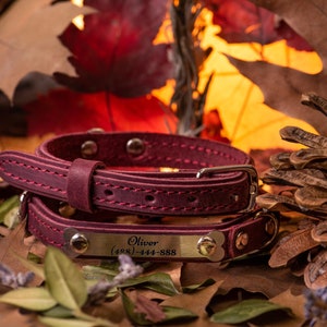 Leather Cat Collar with Name, Personalized Cat Collar, Engraved Custom Cat Collar burgundy